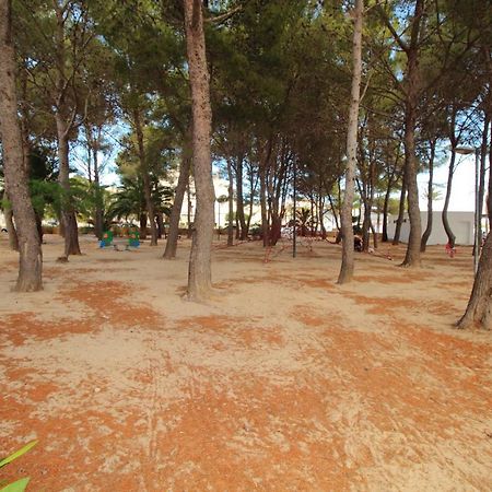 Family Seafront Apt Fantastic Seaview Pollença Kültér fotó